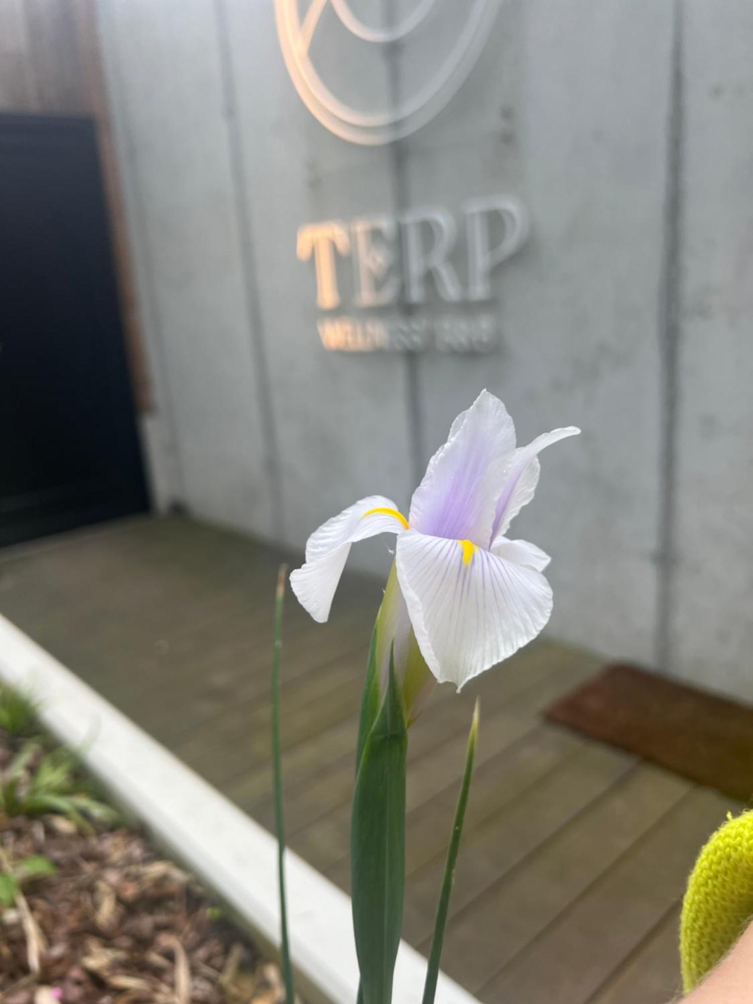 Terp Bed & Breakfast Poperinge Ngoại thất bức ảnh